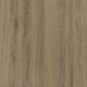 STD15 Dąb Naturalny